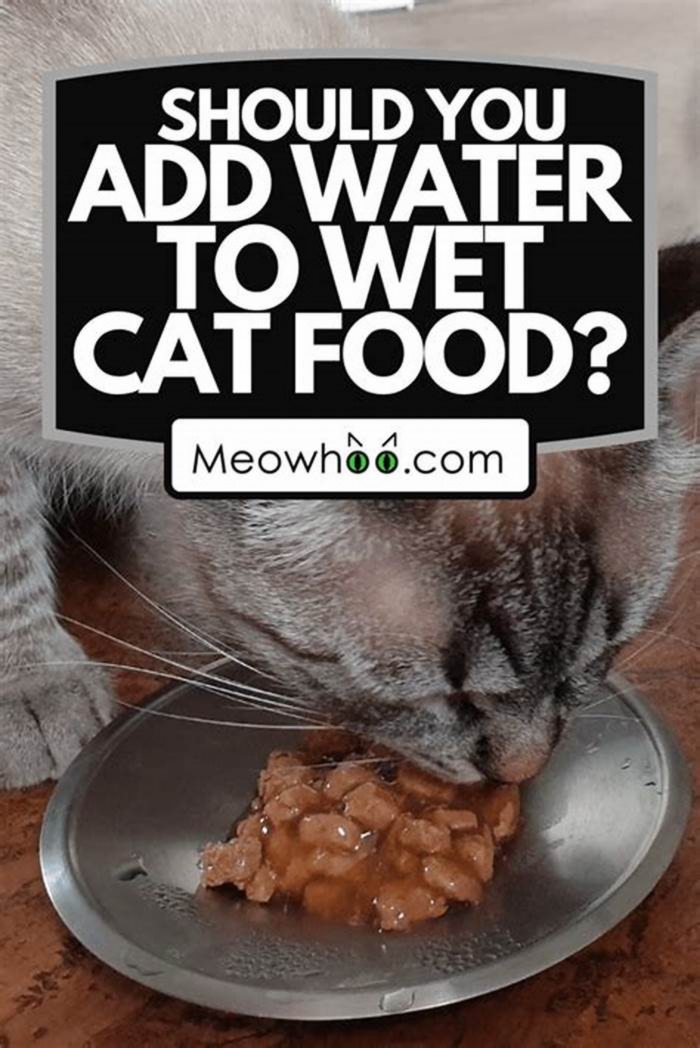 Can I add warm water to wet cat food