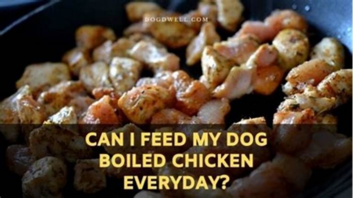 Can I feed my dog boiled chicken every day