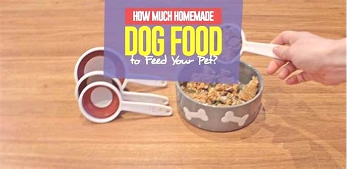 Can I feed my dog homemade food everyday?