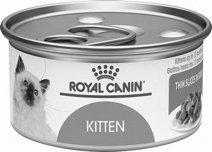 Can I feed my kitten different brands of wet food?