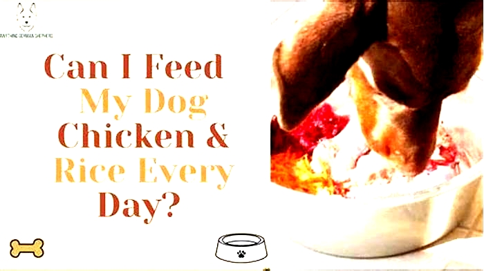 Can I feed my puppy chicken and rice every day?