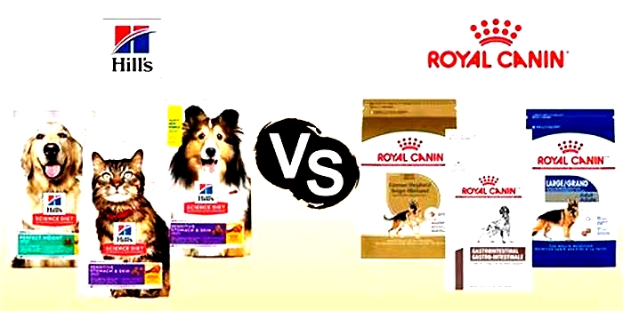 Can I mix Hills and Royal Canin?