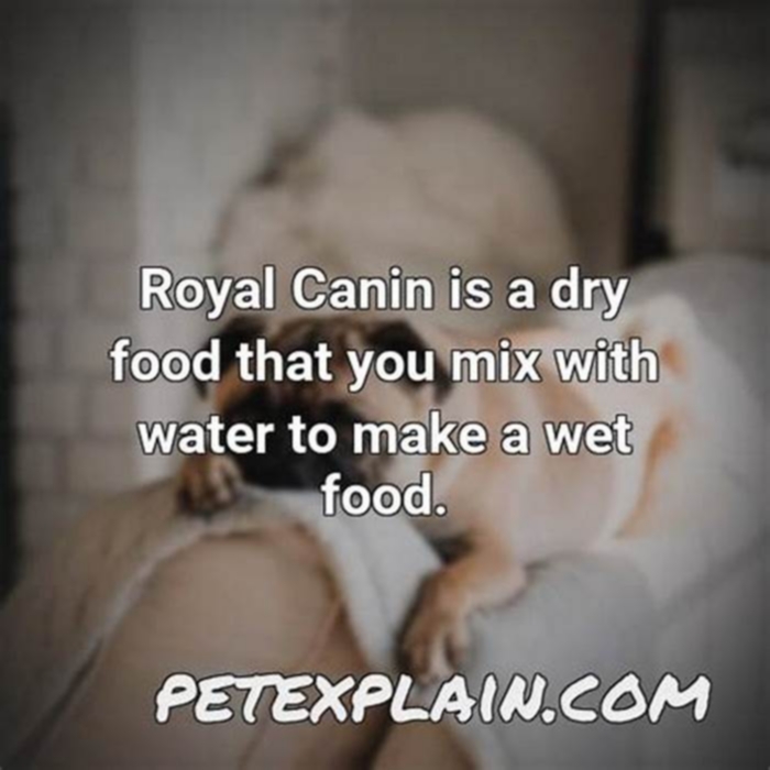 Can I mix Royal Canin with water