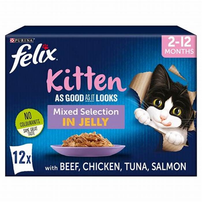 Can I mix kitten wet food with water?