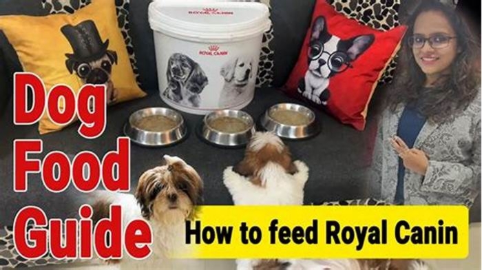 Can we feed Royal Canin without water?