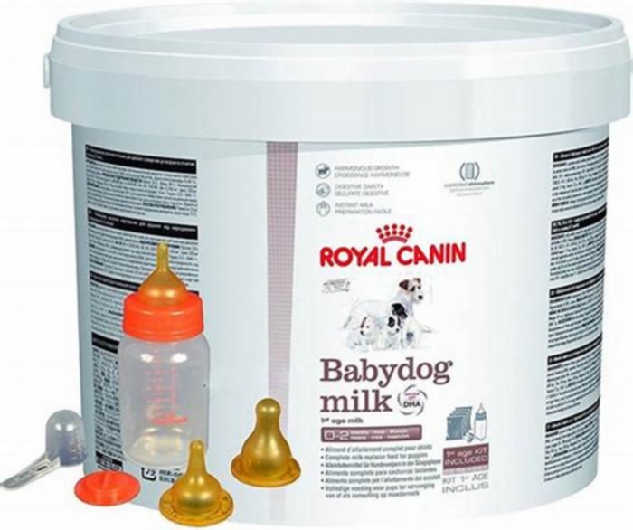 Can we mix Royal Canin with milk?