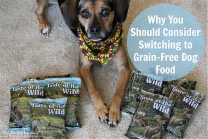 Can you switch from grain-free to grain dog food?