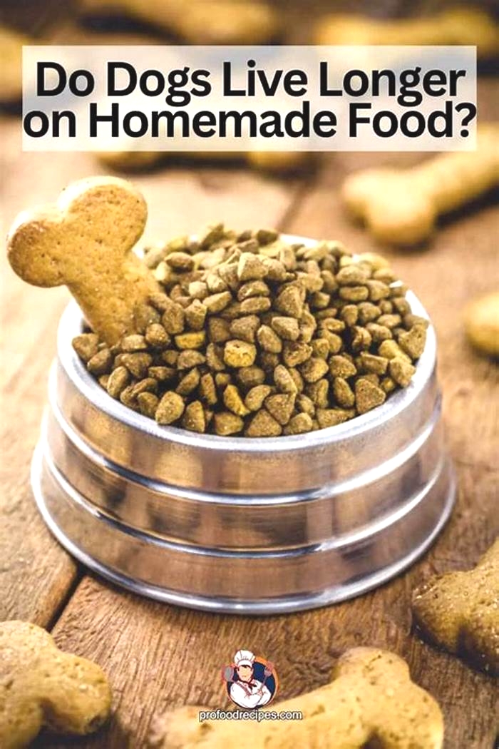 Do dogs live longer with homemade dog food?