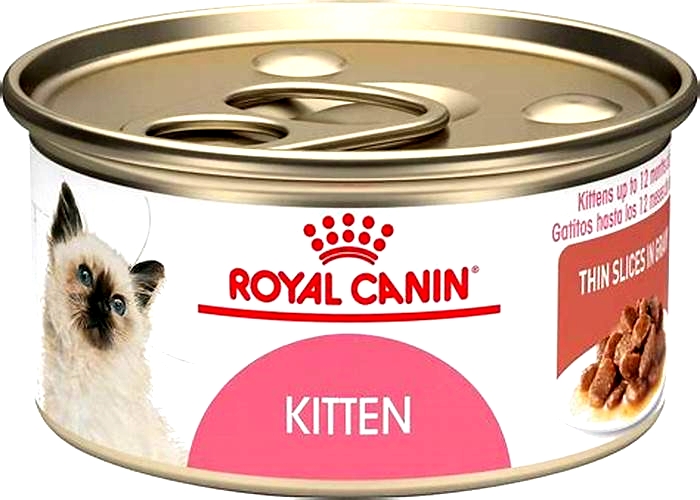 Do kittens prefer warm wet food