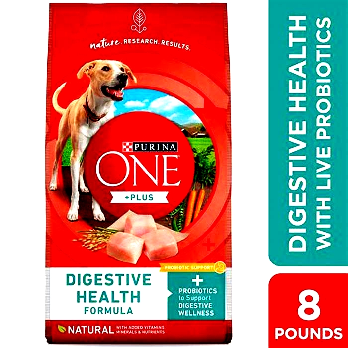 Do veterinarians recommend Purina One dog food?