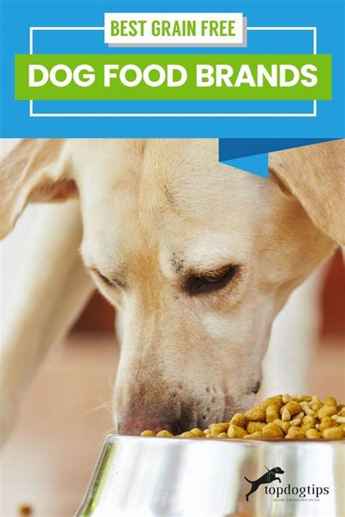 Do vets recommend grain free?