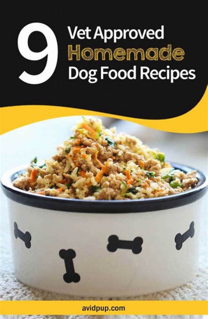 Do vets recommend homemade dog food