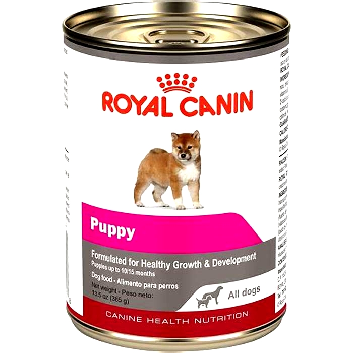 Do you add water to Royal Canin dog food?