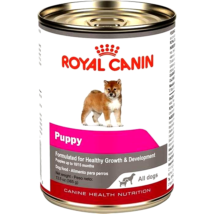 Do you add water to Royal Canin dog food