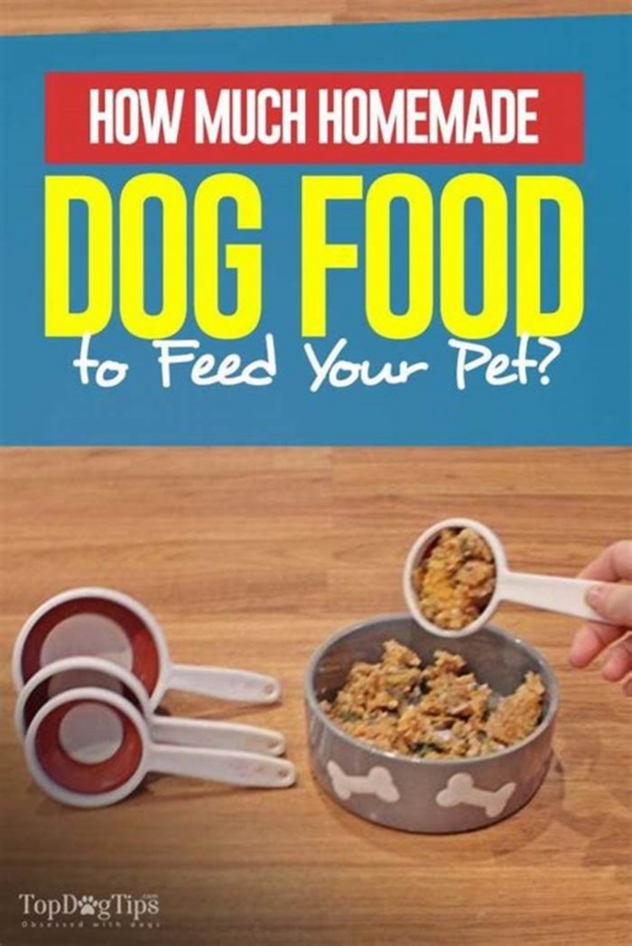 Does homemade dog food save money?