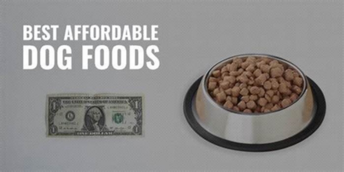 How can I make my dog food more affordable