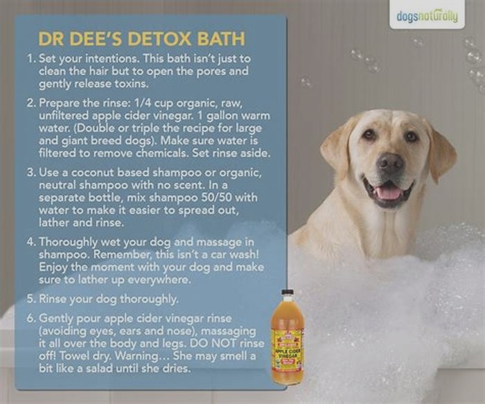 How can I naturally detox my dog