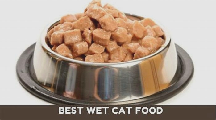 How do I choose wet cat food?