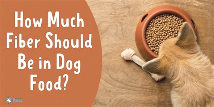 How do I know if my dog needs more fibre?