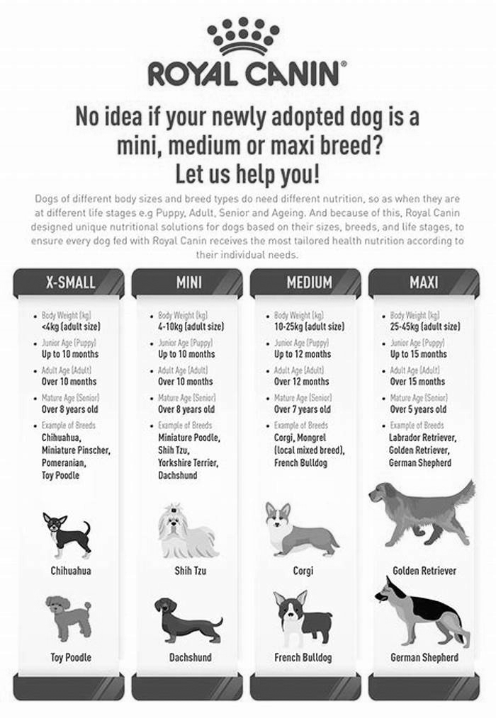 How does Royal Canin affect a dog?