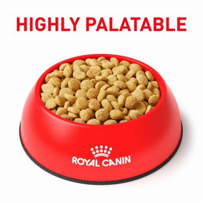 How does Royal Canin satiety work?