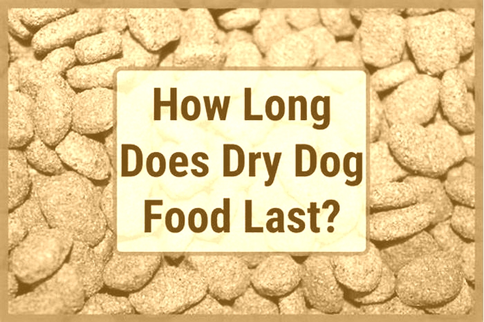 How long can you keep dry dog food before it goes bad