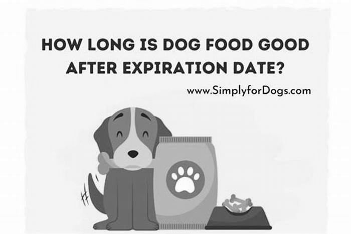 How long is dry dog food good after the expiration date