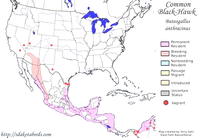 How many countries use the Black Hawk?