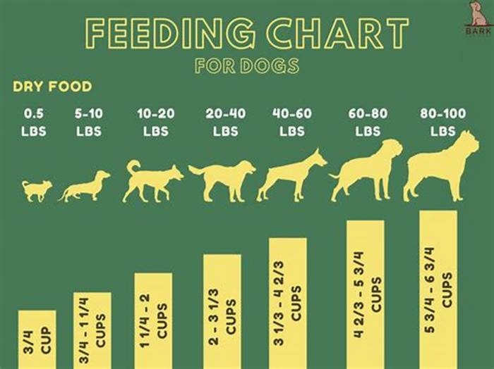 How many dog food per day?