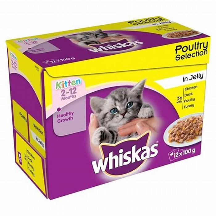 How many pouches of Whiskas should a kitten have a day