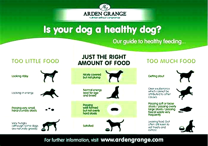 How much Arden Grange should I feed my dog?