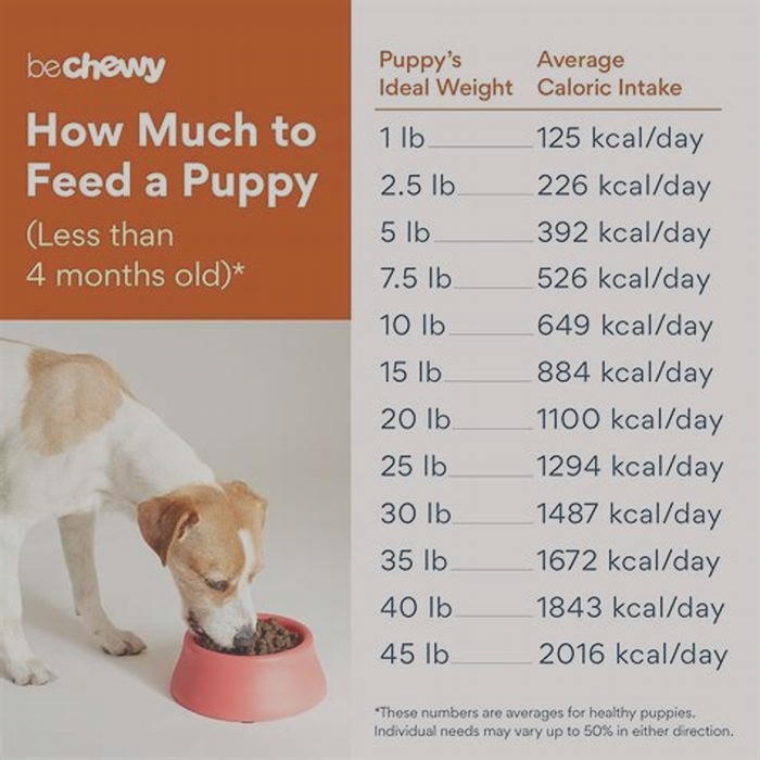 How much should a 5kg puppy eat?