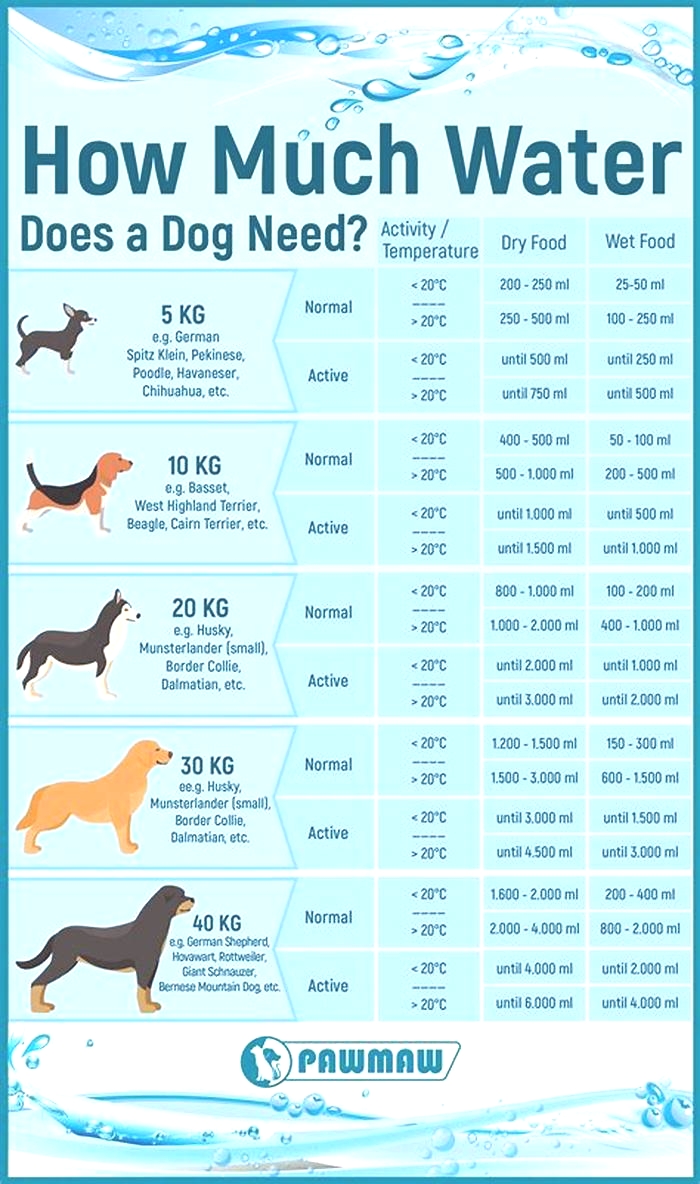 How much water should I add to Royal Canin?