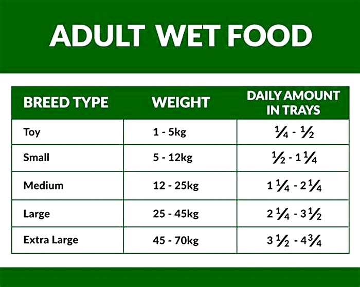 How much wet food should a 7kg dog eat