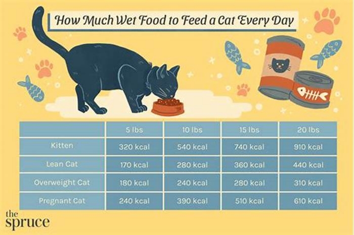 How much wet food to feed a kitten in 1 month?