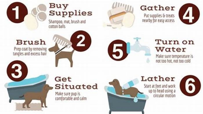 How often should dogs be bathed