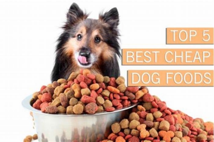 How to get dog food cheaper?