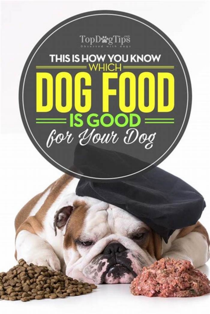 How to know if dog food is good