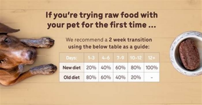 How to transition a puppy from 3 to 2 meals