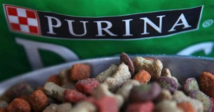 Is Purina One bad for dogs?