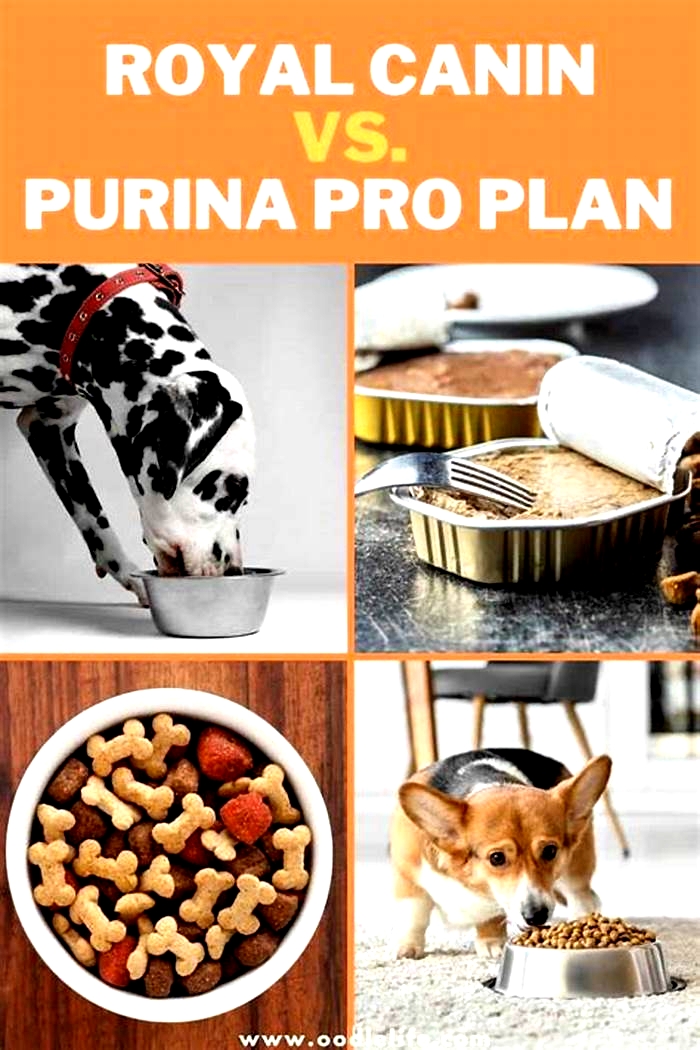 Is Purina better than Royal Canin?