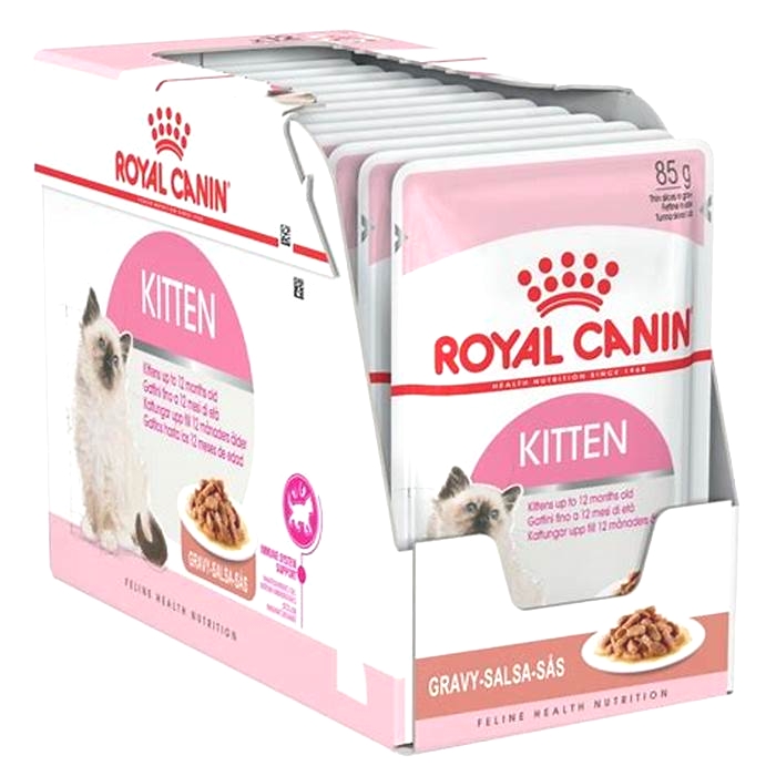 Is Royal Canin food good for kittens