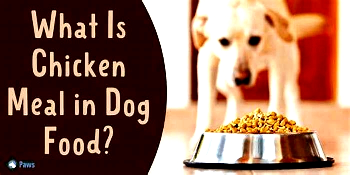 Is chicken meal good for dogs