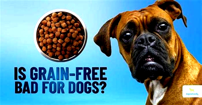 Is grain-Free bad for puppies?