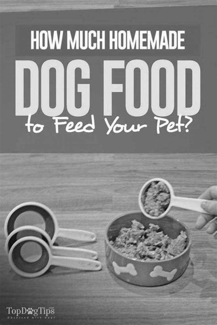 Is it OK to feed your dog cheap dog food?