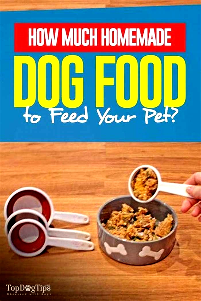 Is it cheaper to feed your dog homemade food?