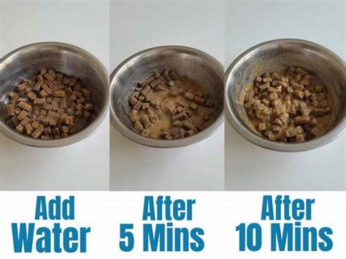 Is it okay to add water to puppy kibble?