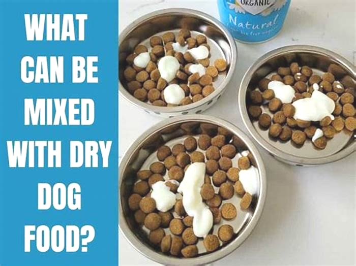 Is it okay to mix wet food with dry dog food?