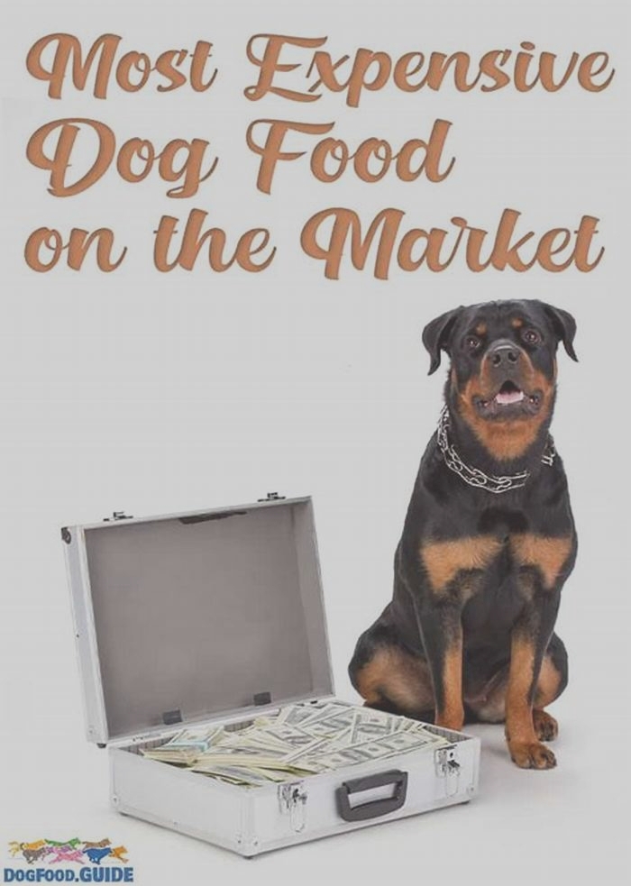 Is it worth it to buy expensive dog food?