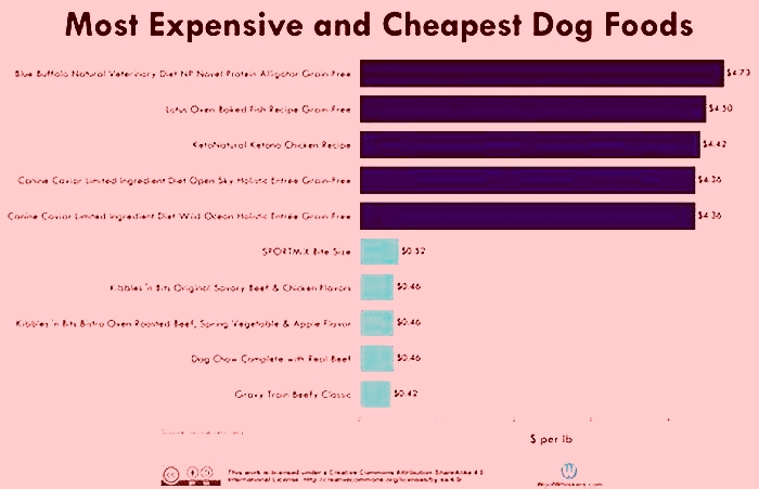 Is there a difference between expensive dog food and cheap dog food?